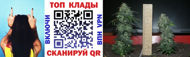 Купить наркотики Куровское Псилоцибиновые грибы Героин ГАШ NBOMe Меф мяу мяу