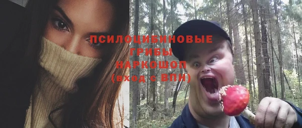 мескалин Алексин